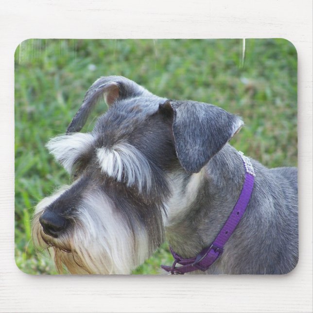 Schnauzer  Mouse Pad (Front)