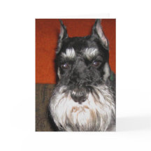Schnauzer Note Card