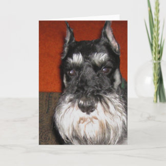 Schnauzer Note Card