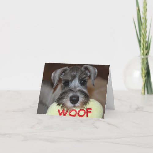 Schnauzer Notecards