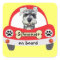 Schnauzer on Board