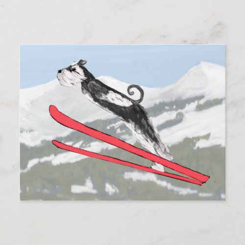 Schnauzer on Skis Postcard