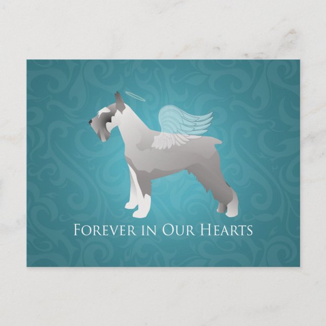 Schnauzer Pet Memorial Design Postcard (Front)