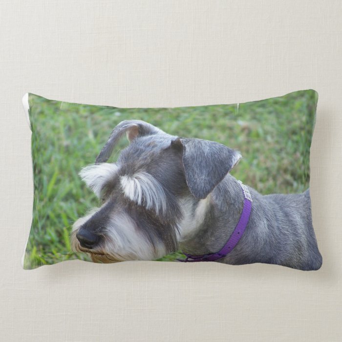 schnauzer pillow chum costco