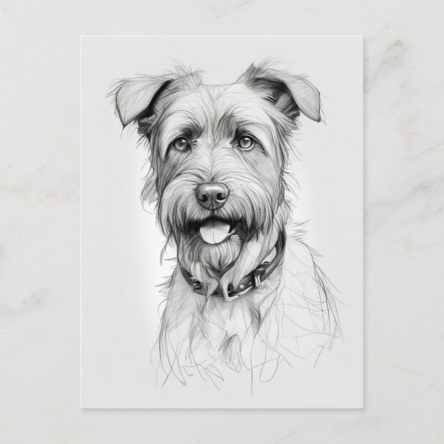 Schnauzer Portrait Pencil Sketch Postcard (Front)