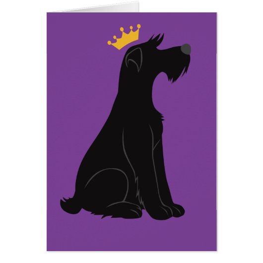 Schnauzer Prince Cards (Front)
