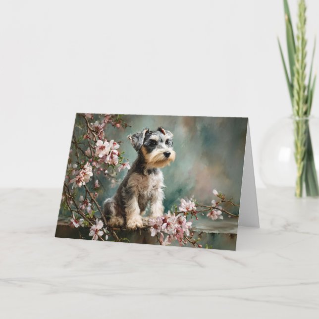 Schnauzer Puppy Among Spring Cherry Blossoms Card (Front)