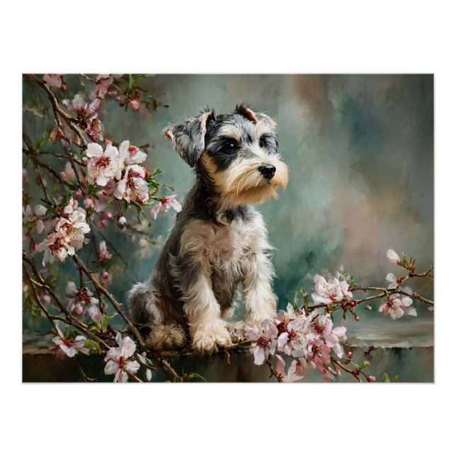 Schnauzer Puppy Among Spring Cherry Blossoms Poster (Front)