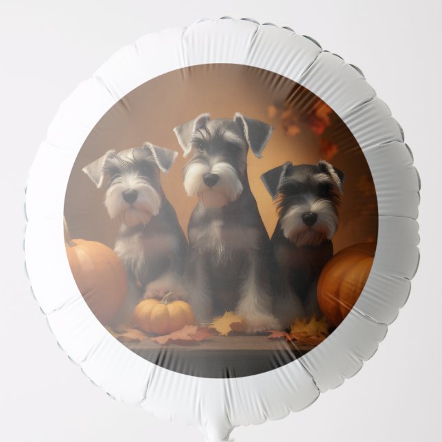 Schnauzer Puppy Autumn Delight Pumpkin  Balloon (Front)