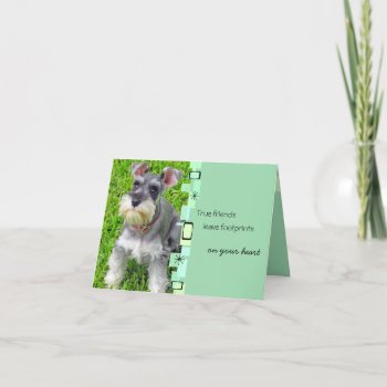 Schnauzer Puppy Birthday Greeting Card by malibuitalian at Zazzle