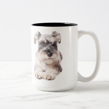 Schnauzer Puppy Coffee Mug by SharCanMakeit at Zazzle