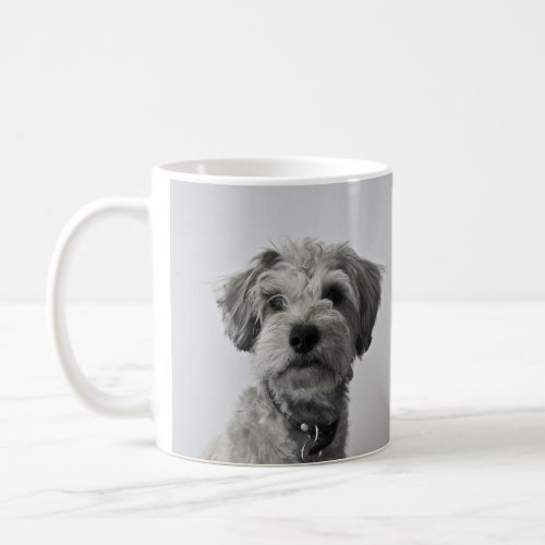 Schnauzer Puppy Portrait Photo Coffee Mug