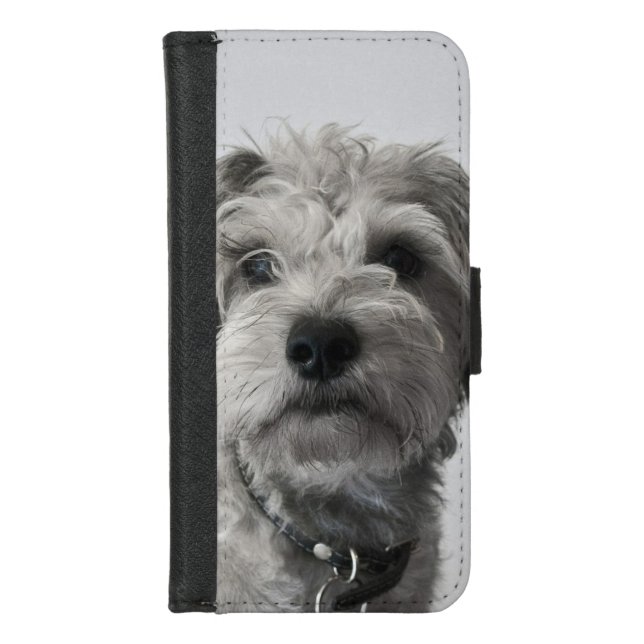Schnauzer Puppy Portrait Photo iPhone Wallet Case (Front)
