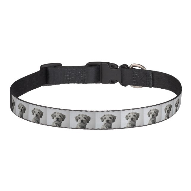 Schnauzer Puppy Portrait Photo Pet Collar (Front)