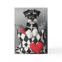 Schnauzer Puppy Valentine Card