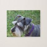 Schnauzer Puzzle