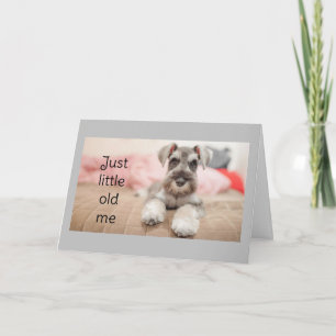 "SCHNAUZER SAYS HAPPY BIRTHDAY" CARD