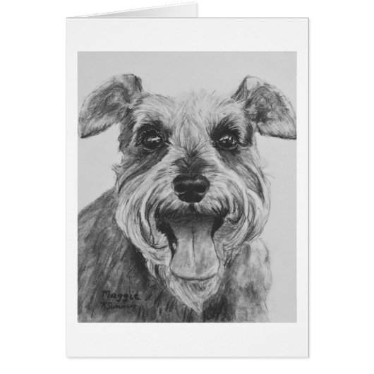 Schnauzer Sketch Artwork Cards (Front)