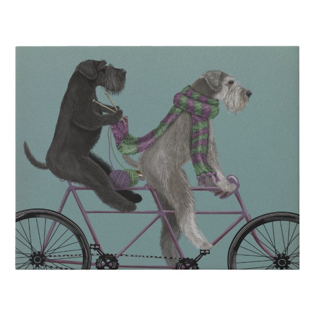 Schnauzer Tandem Faux Canvas Print (Front)