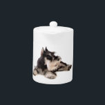 SCHNAUZER TEAPOT<br><div class="desc">BE AN INDIVIDUAL AND GET YOURSELF SOMETHING DIFFERENT FROM THE REST. THIS ITEM WITH AN IMAGE OF A GIANT SCHNAUZER WILL MAKE YOU STAND OUT FROM REST.</div>