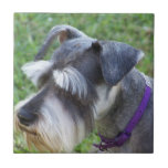 Schnauzer Tile or Trivet