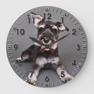 Schnauzer - Tom Dooley Large Clock