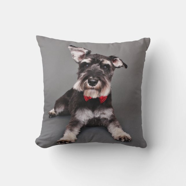 Schnauzer - Tom Dooley Throw Pillow (Front)