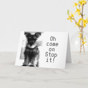 SCHNAUZER U STILL LOOK "49" HOW CAN YOU BE "50" CARD