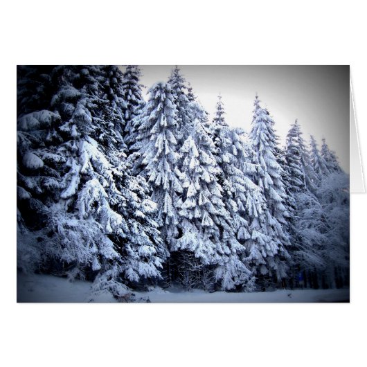 Schnee Cards (Front Horizontal)