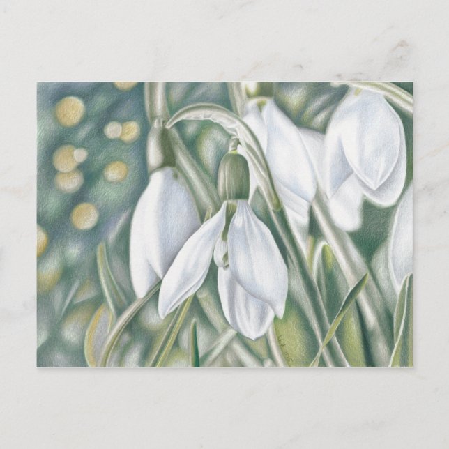 Schneeglöckchen - Farbstiftzeichnung Postcard (Front)