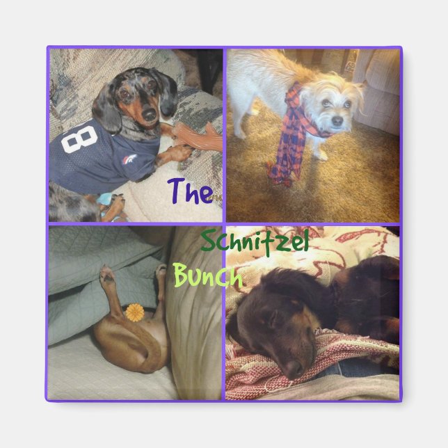 Schnitzel Bunch Magnet (Front)