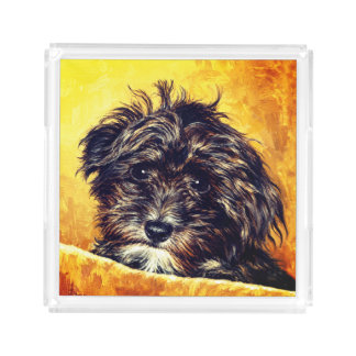Schnoodle Acrylic Tray