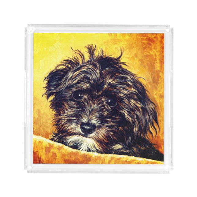 Schnoodle Acrylic Tray (Front)