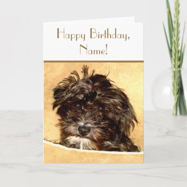 Schnoodle Birthday Customizable Text Card (Front)