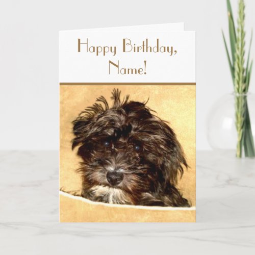Schnoodle Birthday Customizable Text Card