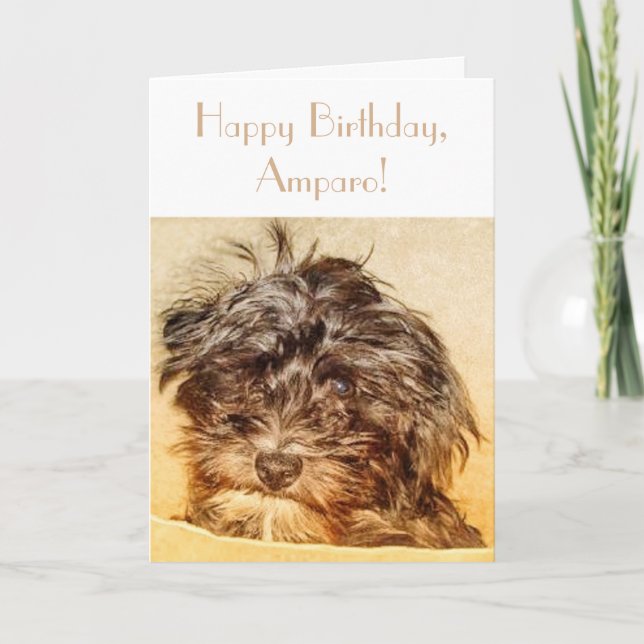Schnoodle Birthday Folding Card (Front)