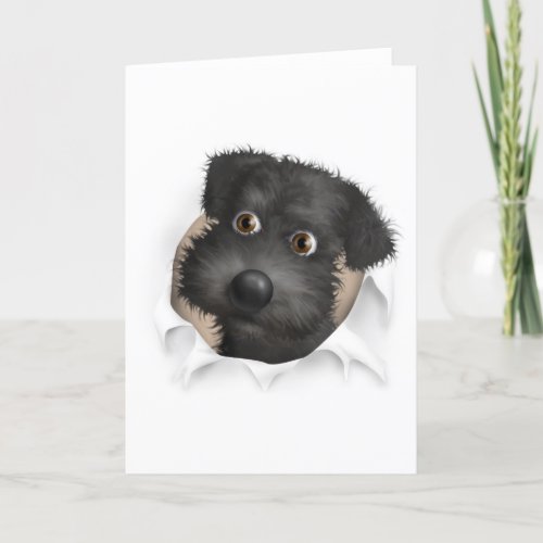 Schnoodle Black Busting Out Card