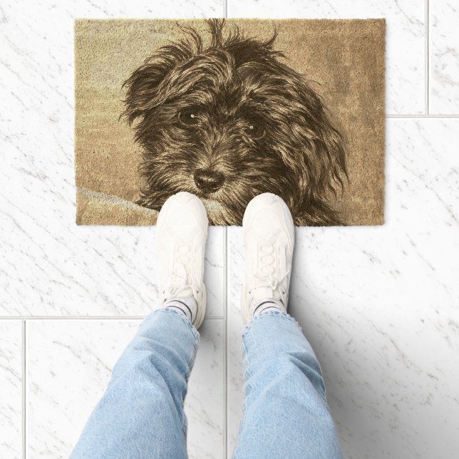 Schnoodle Coir Mat (Insitu)