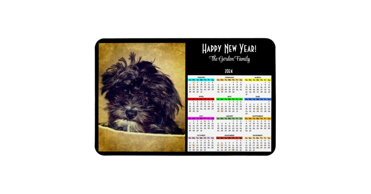 Schnoodle Dog 2024 Calendar Photo Zazzle