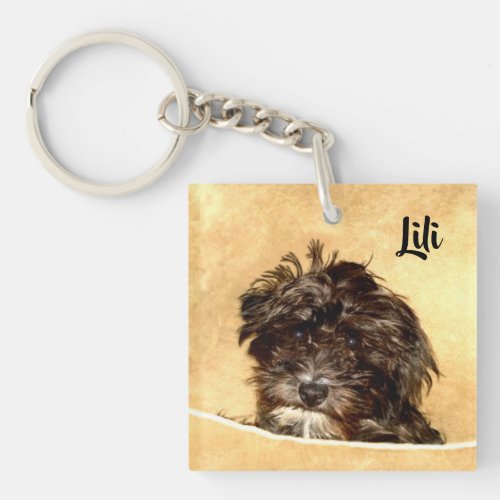Schnoodle Dog Double Sided Keychain
