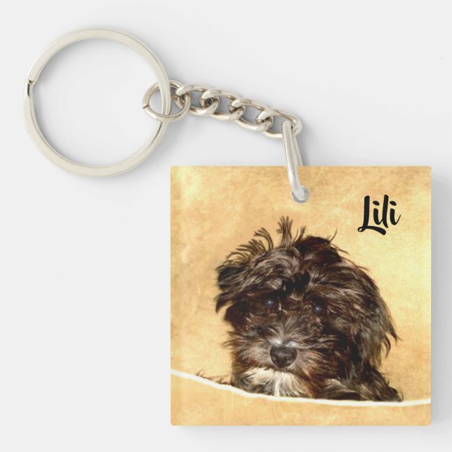 Schnoodle Dog Double Sided Keychain (Front)
