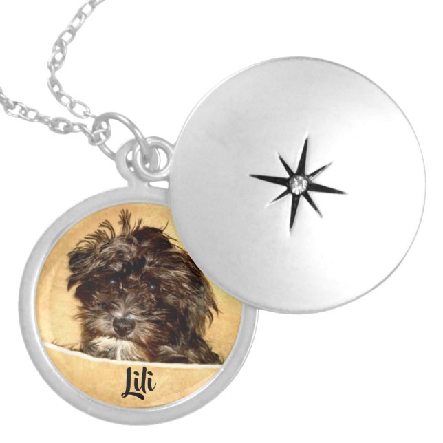 Schnoodle Dog Locket Necklace (Front)