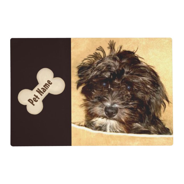 Schnoodle Dog Mat (Front)