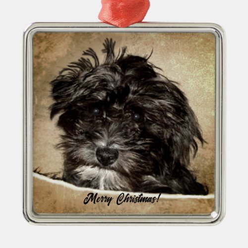Schnoodle Dog Metal Ornament