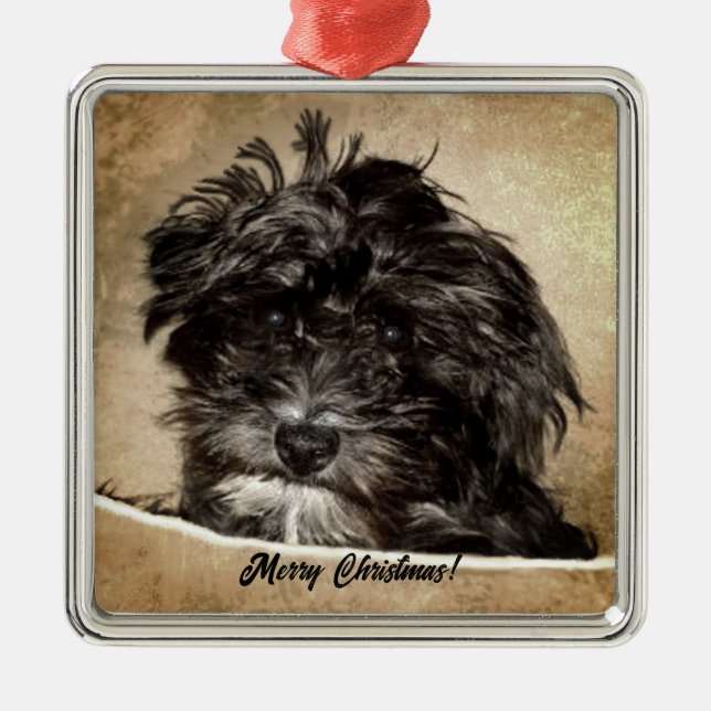 Schnoodle Dog Metal Ornament (Front)