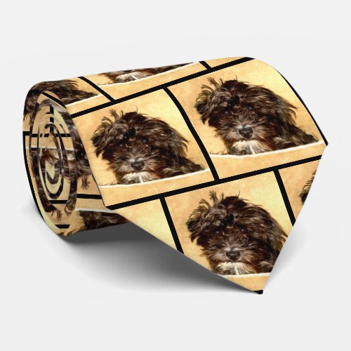 Schnoodle Dog Neck Tie