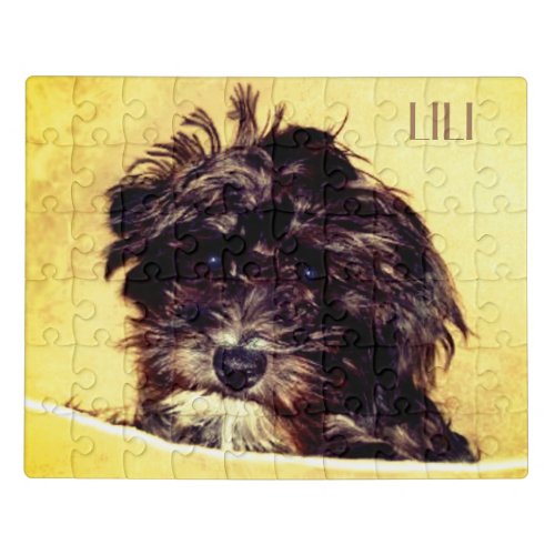 Schnoodle Dog Personalized Jigsaw Puzzle
