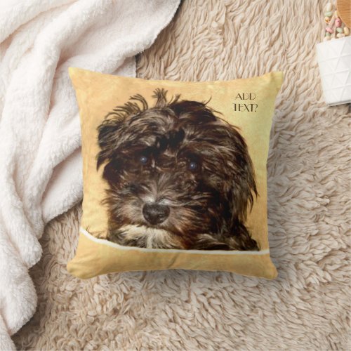 Schnoodle Dog Throw Pillow with Text