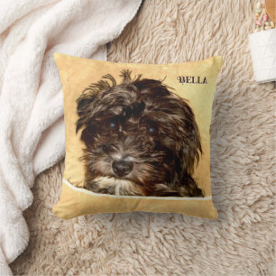 Schnoodle Dog Throw Pillow with Text