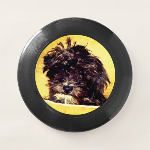 Schnoodle Dog Wham_O Frisbee